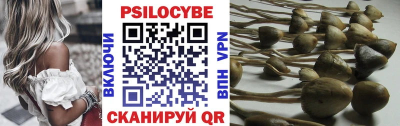 Псилоцибиновые грибы Cubensis  Апрелевка 